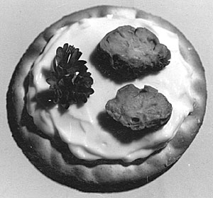 human tonsil canape hors d'oeuvre