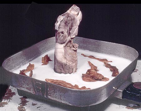 PICTURE: photo of frying pan containing bacon, lard and a freeze-dried fetal pig with a thermometer inserted in its skull