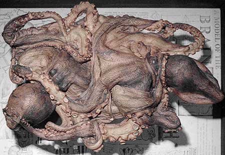 Top view of two intertwined freeze-dried octopuses