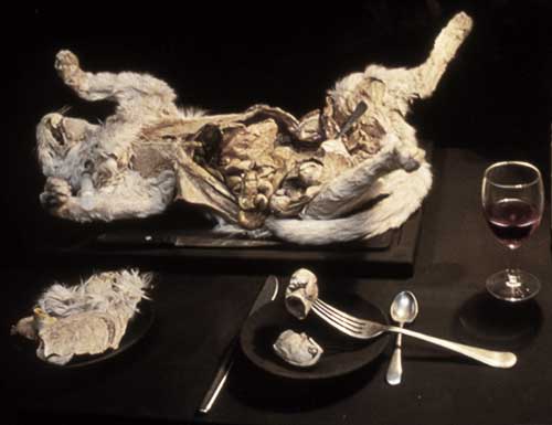Top-side view of black restaurant table containing pregnant cat and one foetal kitten on a black plate