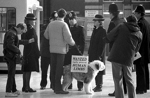Daisy the dog and Rick Gibson surrounded by police officers and news reporters on the platform at Brighton British Rail station
