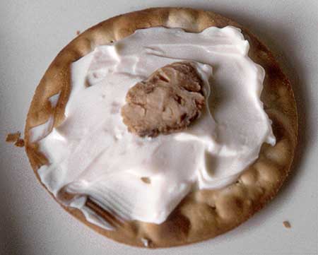 PICTURE: color photo of tonsil hors d'oeuvre.  The slice of human tonsil rests on a bed of cream cheese spread on a thin biscuit.